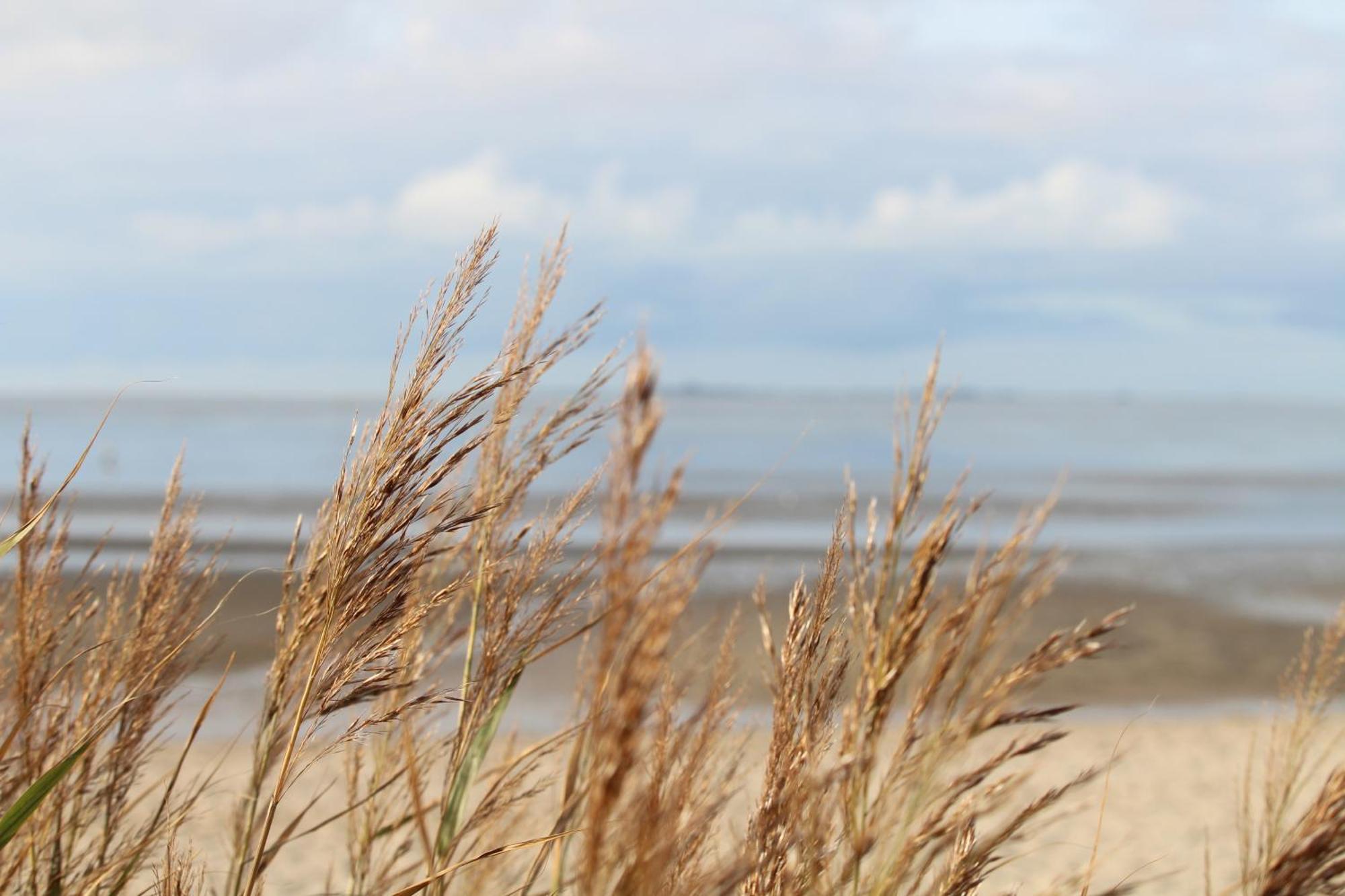 Steffis-Strand-Schule Куксхафен Экстерьер фото